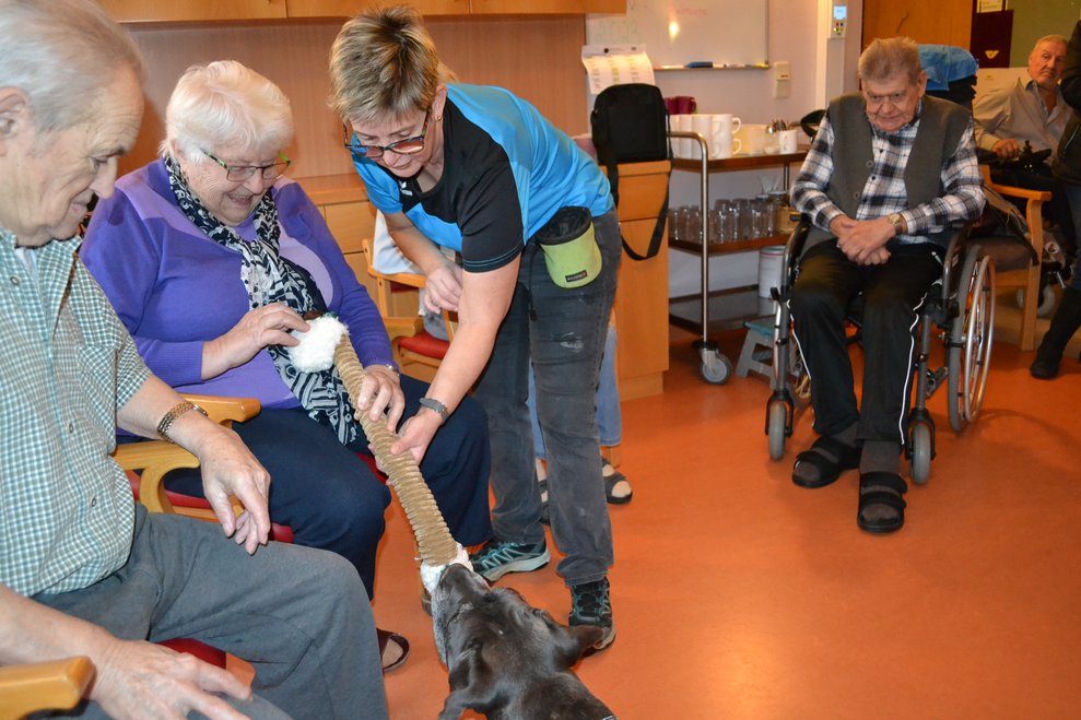 Hund spielt mit Menschen