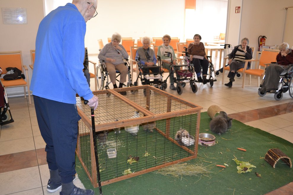 Mann bewundert Küken